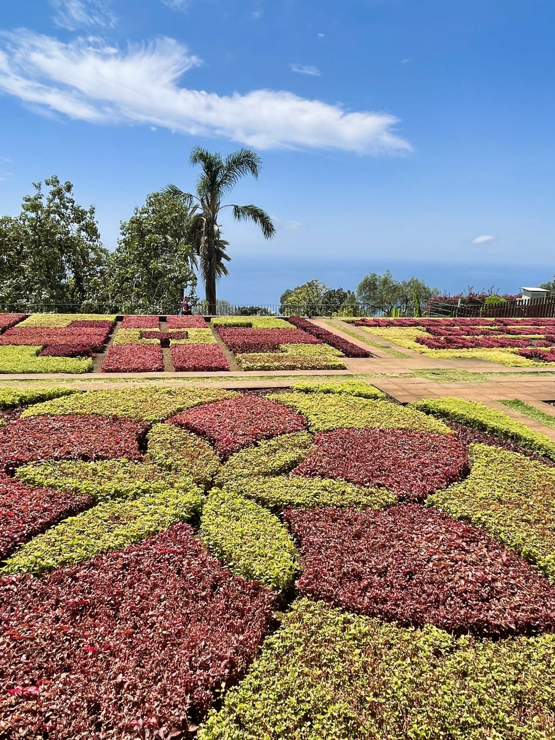 jardin botannique