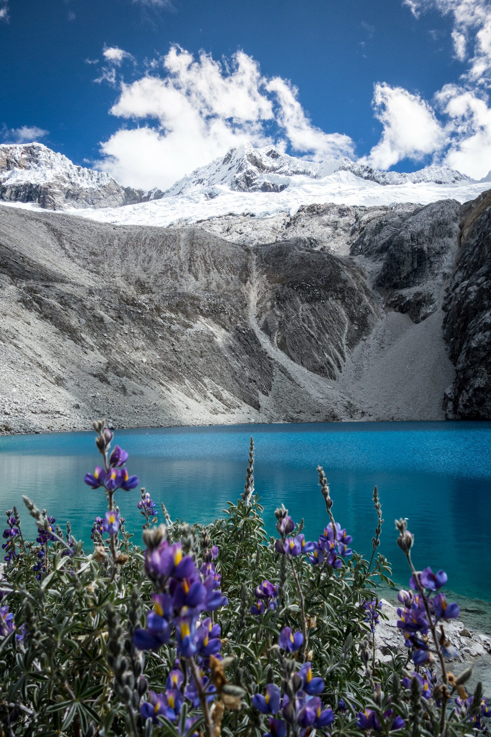 laguna 69