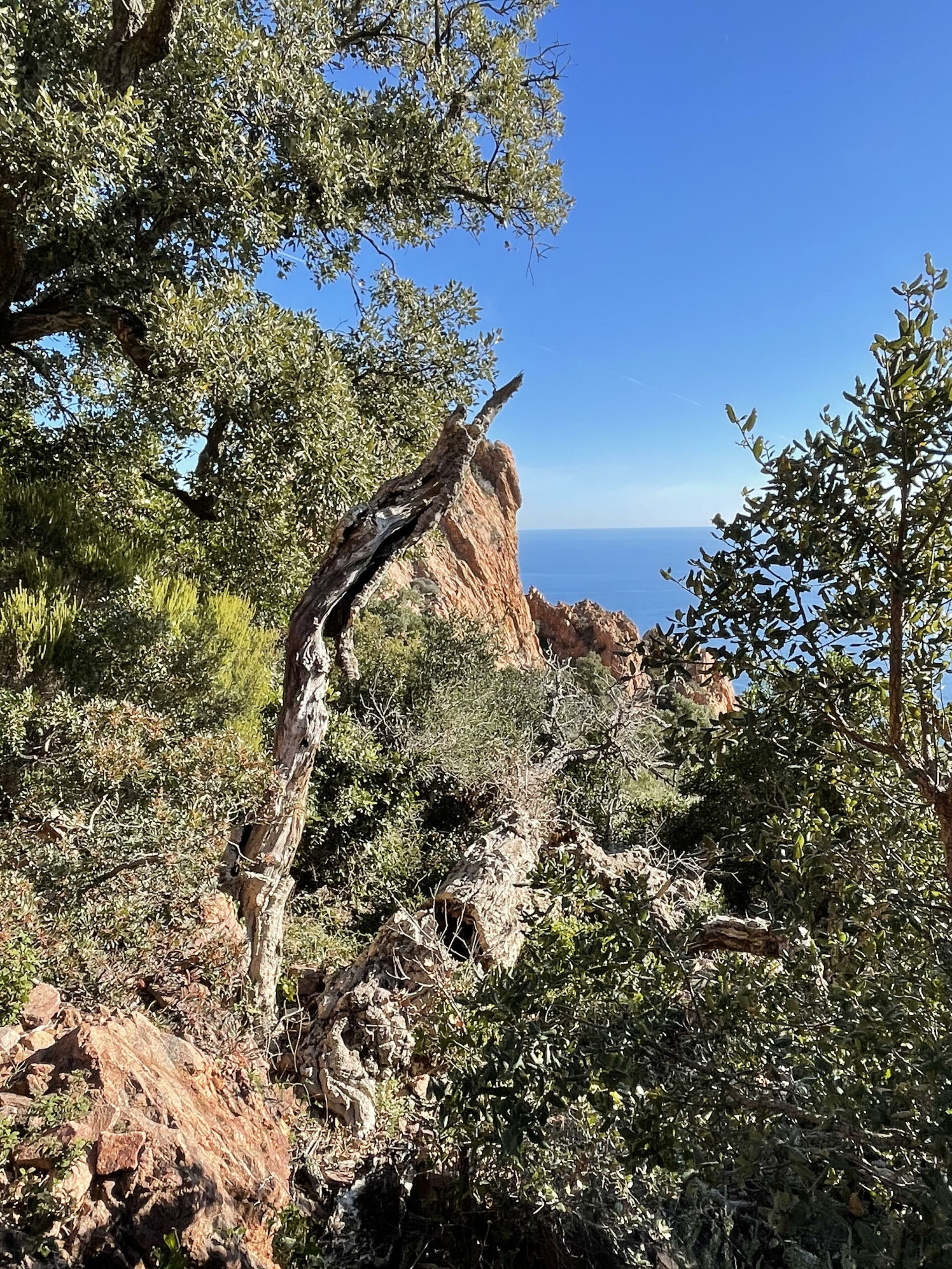 esterel