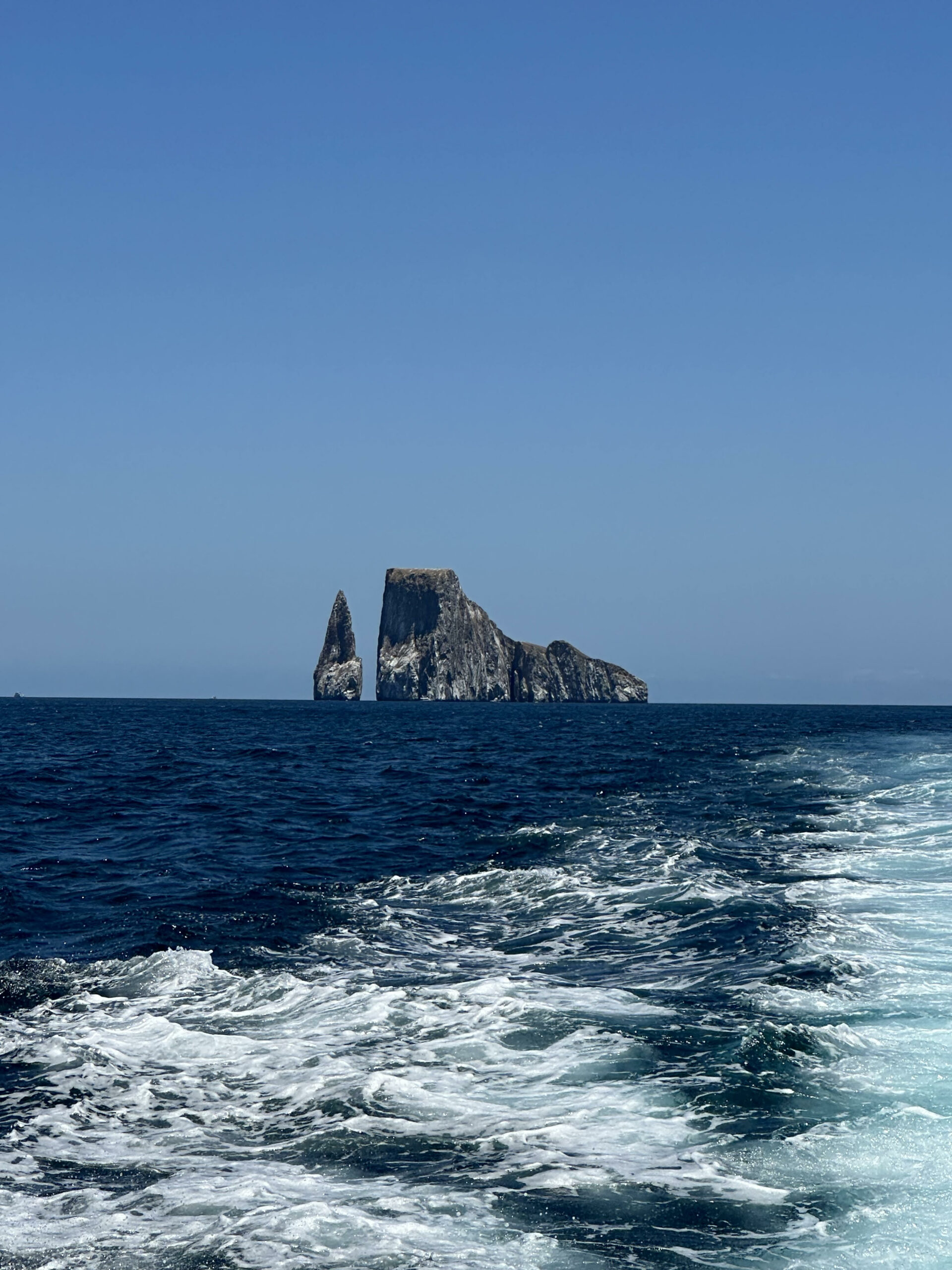 kicker rock site